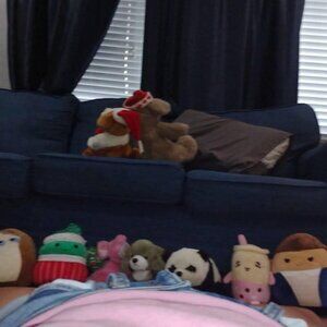 squishmellows some have tags